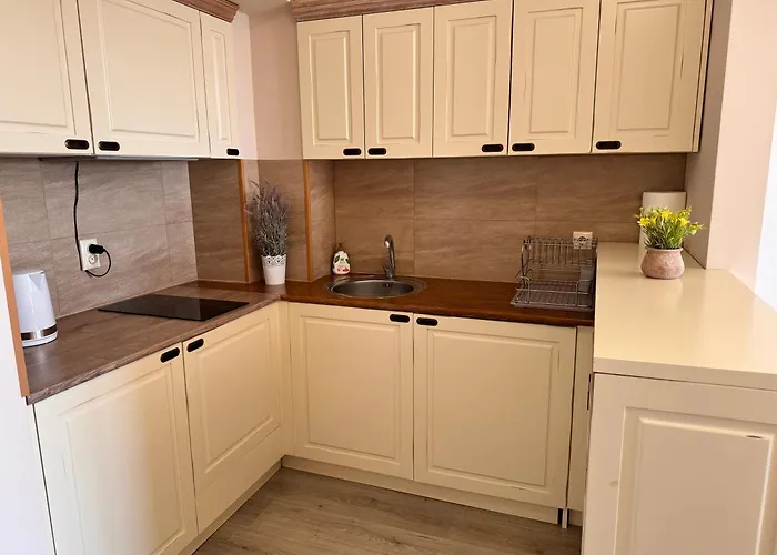 White Rock Castle - Pool & アパート バルチク